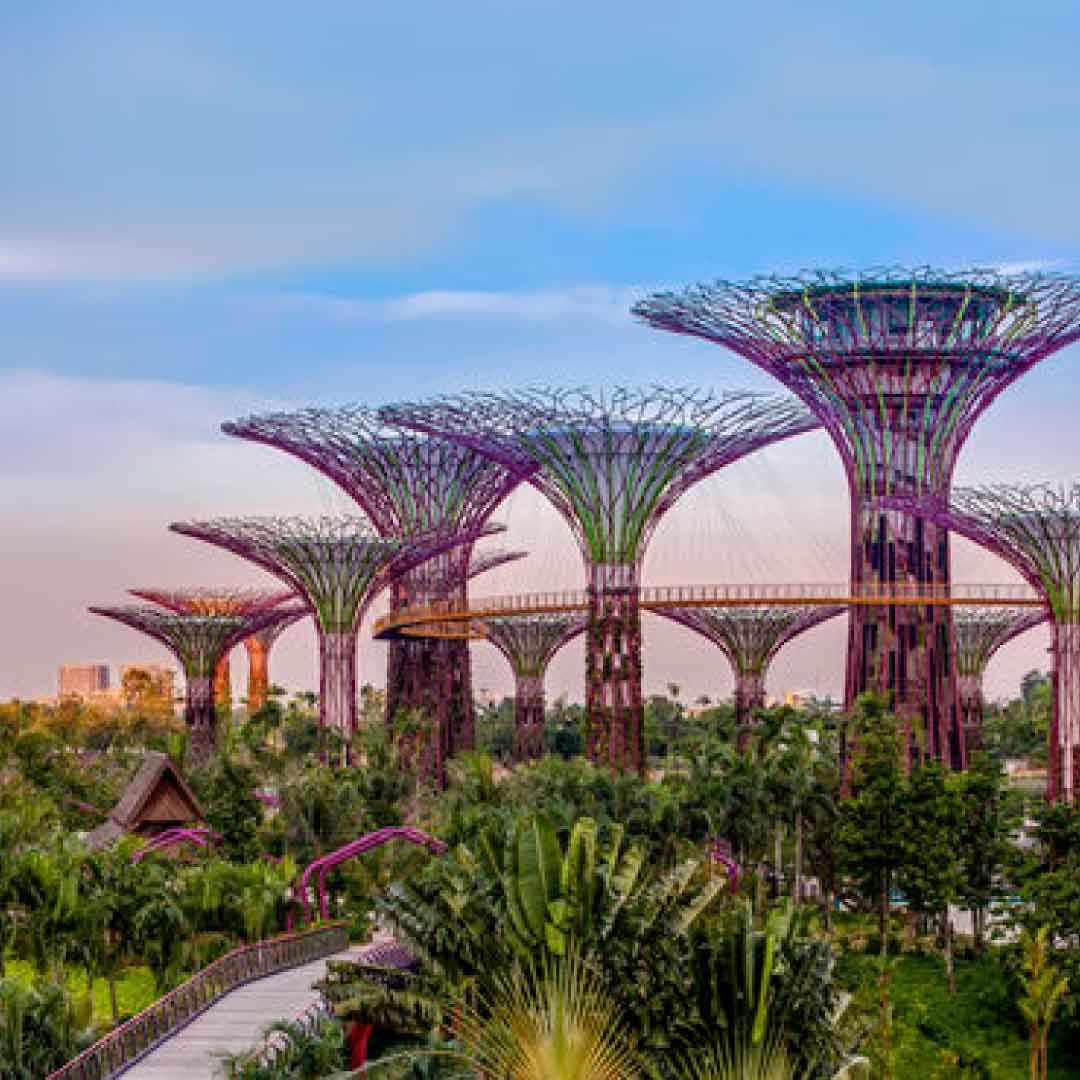 Gardens by the Bay, Singapore